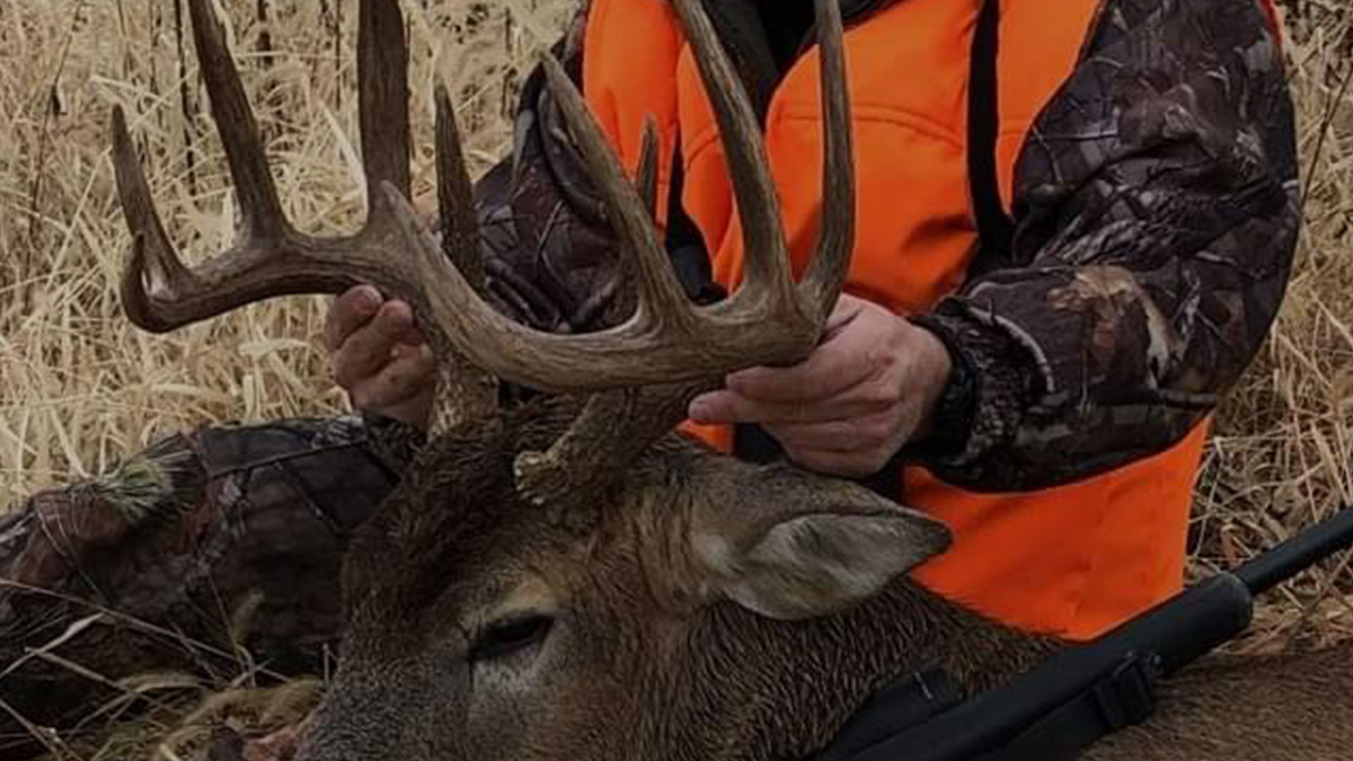 Deer Hunting Galleries Deer Hunting Galleries