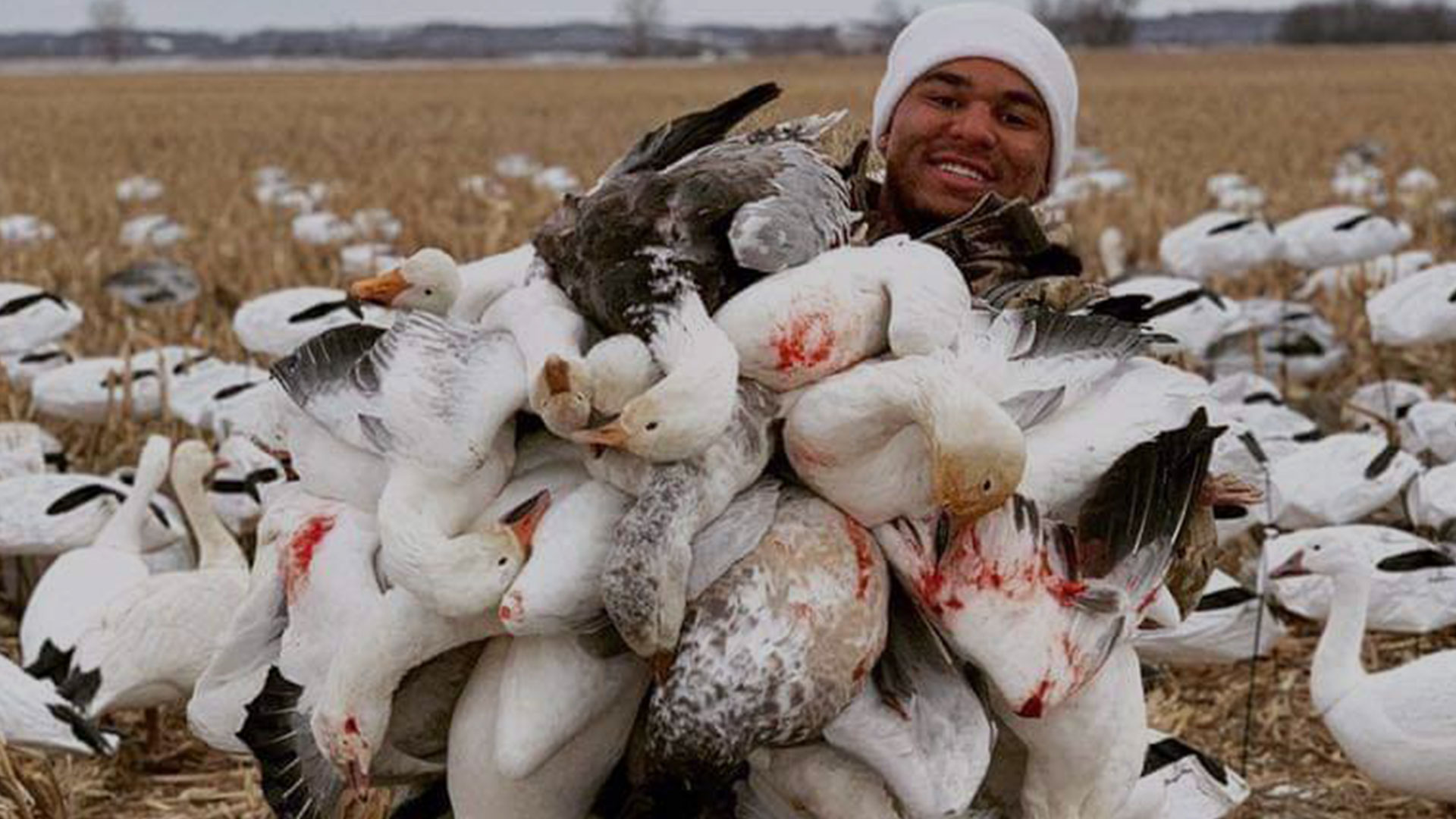 Snow Goose Hunting Galleries Snow Goose Hunting Galleries